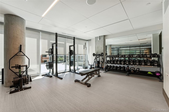 gym featuring expansive windows and carpet floors