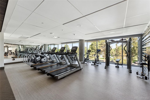 exercise room featuring a wall of windows