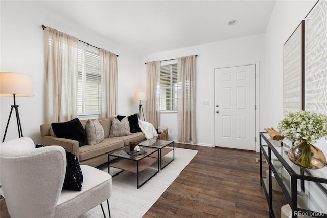 living room with dark hardwood / wood-style flooring