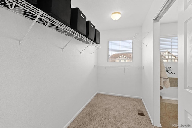 walk in closet with carpet floors