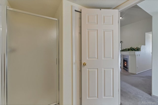 bathroom with walk in shower