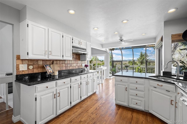 kitchen featuring a ceiling fan, a sink, under cabinet range hood, and white cabinets
