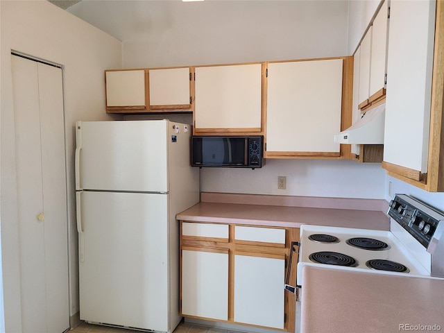 4760 S Wadsworth Unit 301, Littleton, CO 80123 - kitchen with white appliances, light countertops, and under cabinet range hood