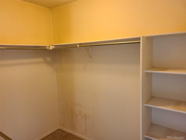 4760 S Wadsworth Unit 301, Littleton, CO 80123 - view of walk in closet