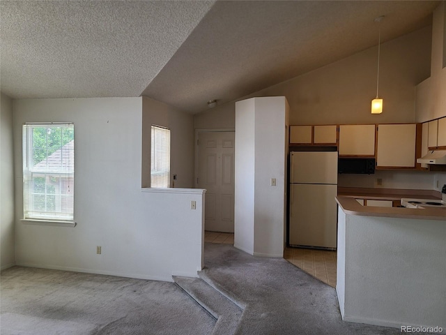 4760 S Wadsworth Unit 301, Littleton, CO 80123 - kitchen with freestanding refrigerator, under cabinet range hood, light colored carpet, lofted ceiling, and black microwave