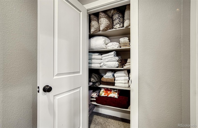 15804 Elizabeth Cir E, Thornton, CO 80602 - view of closet