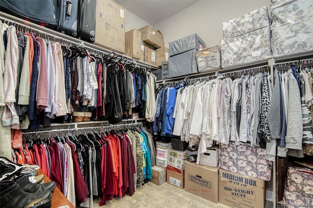 15804 Elizabeth Cir E, Thornton, CO 80602 - walk in closet with carpet floors