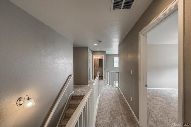2182 Steppe Dr, Longmont, CO 80504 - photo 38