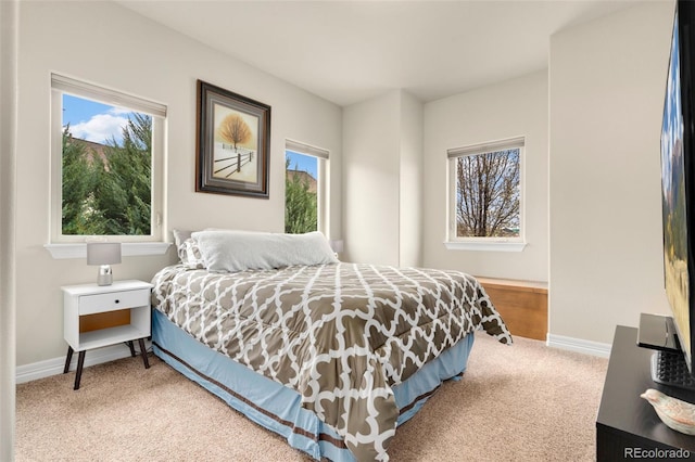 5954 Black Lion Ct, Windsor, CO 80550 - bedroom with carpet, multiple windows, and baseboards