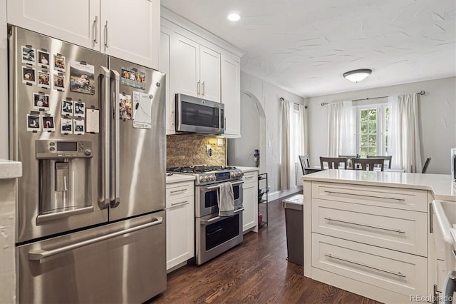 1295 S Downing St, Denver, CO 80210 - kitchen with stainless steel appliances, arched walkways, light countertops, dark wood-type flooring, and tasteful backsplash