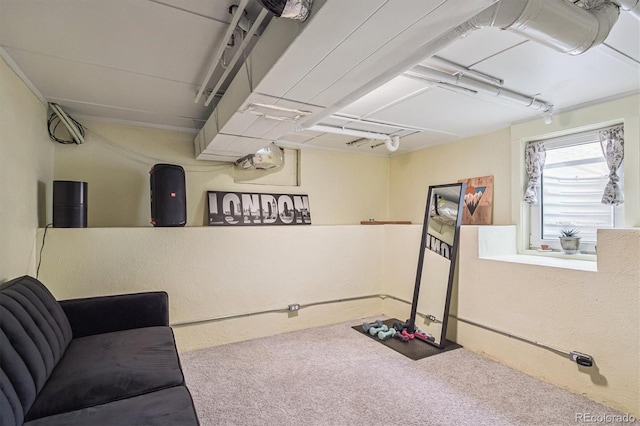 1295 S Downing St, Denver, CO 80210 - below grade area with carpet flooring