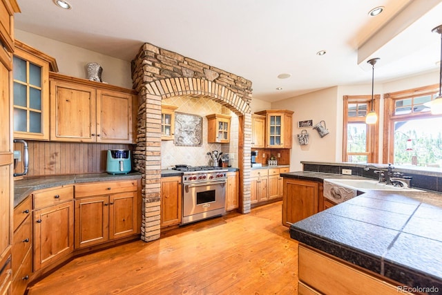 kitchen with a sink, backsplash, luxury stove, light wood finished floors, and glass insert cabinets