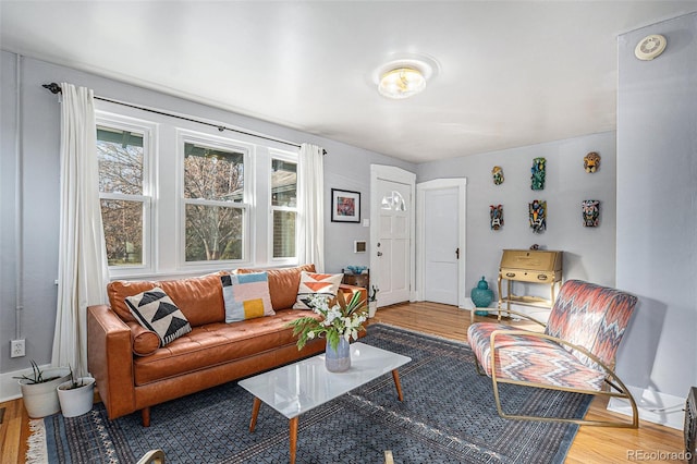 living room featuring hardwood / wood-style floors