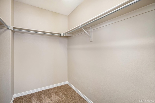 spacious closet with carpet