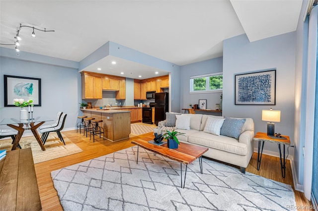 living room featuring light hardwood / wood-style flooring