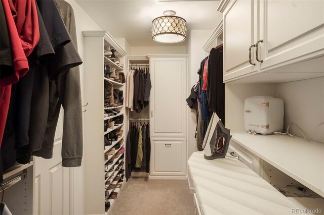 7836 S Fairfax Ct, Centennial, CO 80122 - walk in closet with light colored carpet
