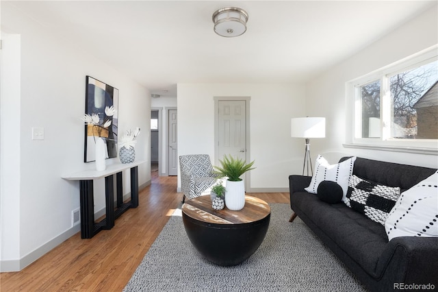 living room featuring hardwood / wood-style floors