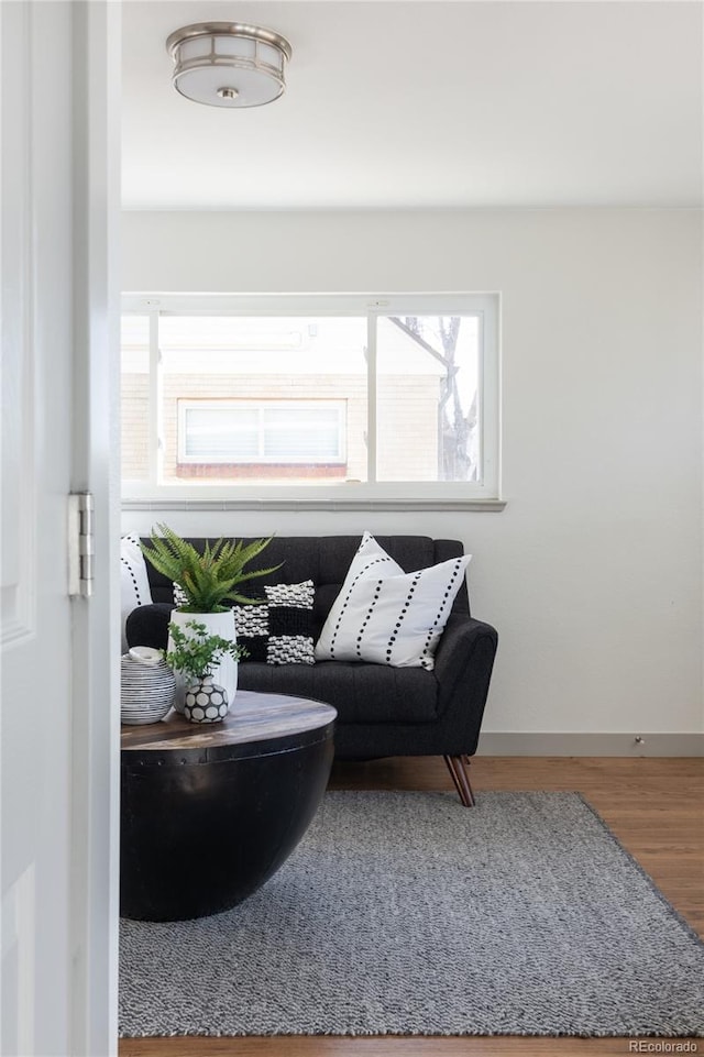 sitting room featuring hardwood / wood-style floors