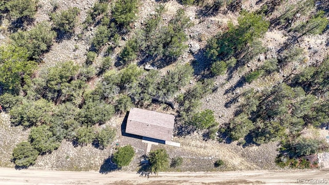 15270 Chimney Rock Rd, Nathrop, CO 81236 - aerial view of property's location