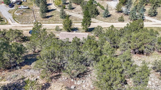 15270 Chimney Rock Rd, Nathrop, CO 81236 - aerial overview of property's location
