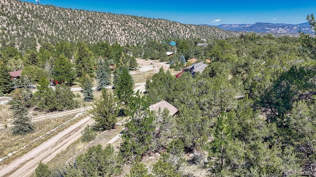 birds eye view of property featuring a mountain view