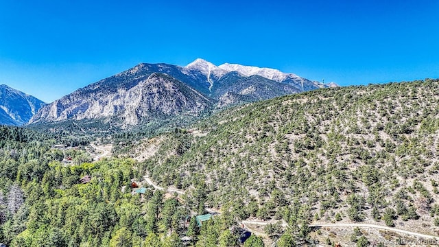 15270 Chimney Rock Rd, Nathrop, CO 81236 - mountain view