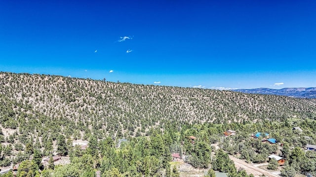 bird's eye view with a mountain view