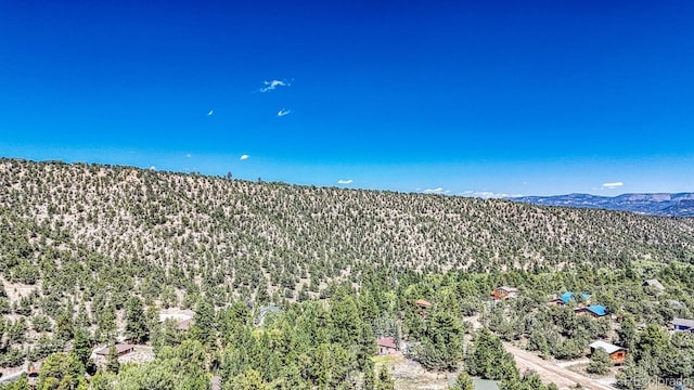 15270 Chimney Rock Rd, Nathrop, CO 81236 - view of mountain background