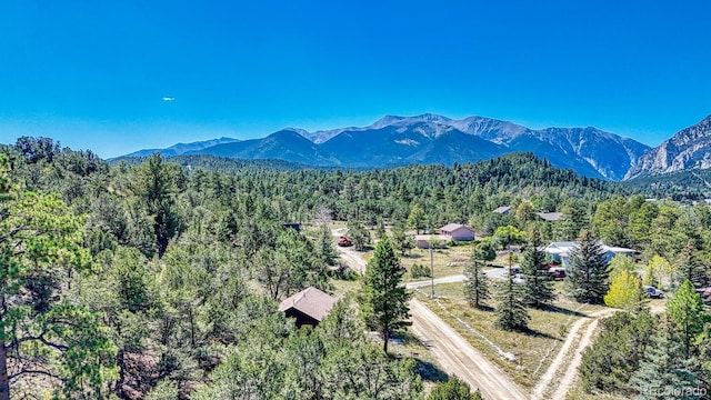 15270 Chimney Rock Rd, Nathrop, CO 81236 - mountain view featuring a heavily wooded area
