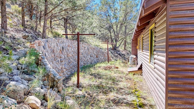15270 Chimney Rock Rd, Nathrop, CO 81236 - view of yard