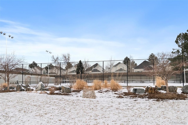 view of snowy yard