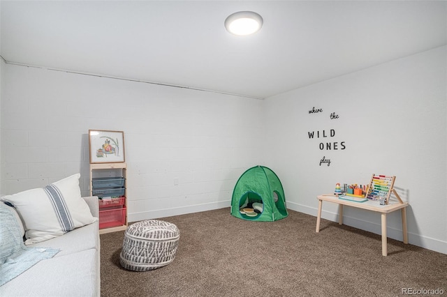 rec room with carpet floors and concrete block wall