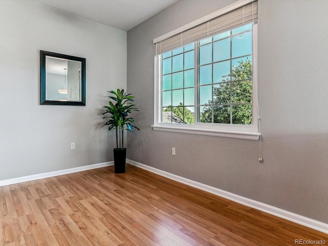 empty room featuring light wood-type flooring