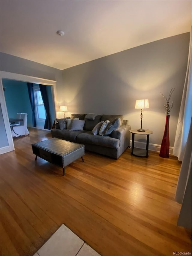 living room with hardwood / wood-style floors