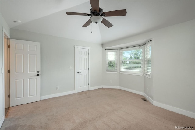5303 E Courtney Ave, Castle Rock, CO 80104 - photo 16