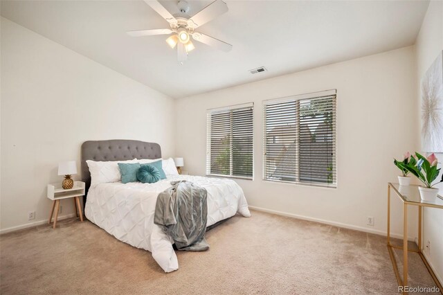 2257 Ellingwood Dr, Colorado Springs, CO 80910 - photo 15