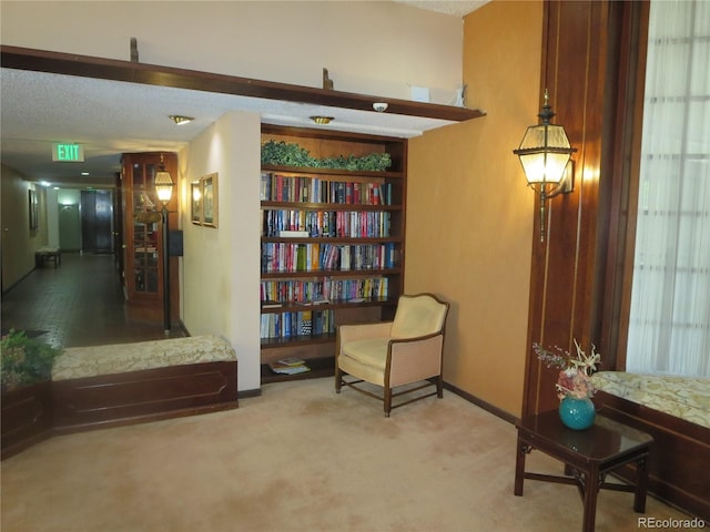 living area with carpet and a textured ceiling