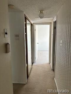 hallway with carpet flooring