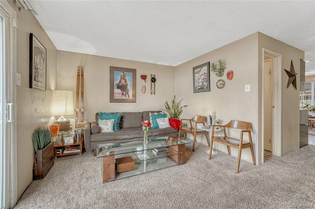 14034 E Utah Cir, Aurora, CO 80012 - carpeted living area featuring a textured ceiling