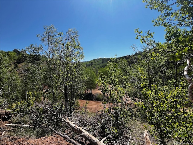 2136 Golden Cycle Cir, Cripple Creek CO, 80813 land for sale