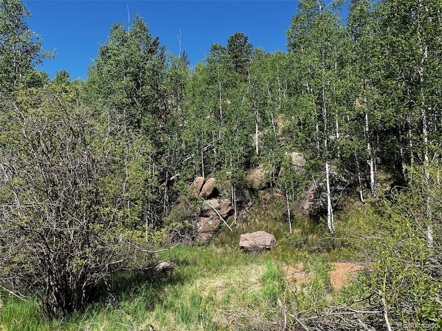 Listing photo 3 for 2136 Golden Cycle Cir, Cripple Creek CO 80813