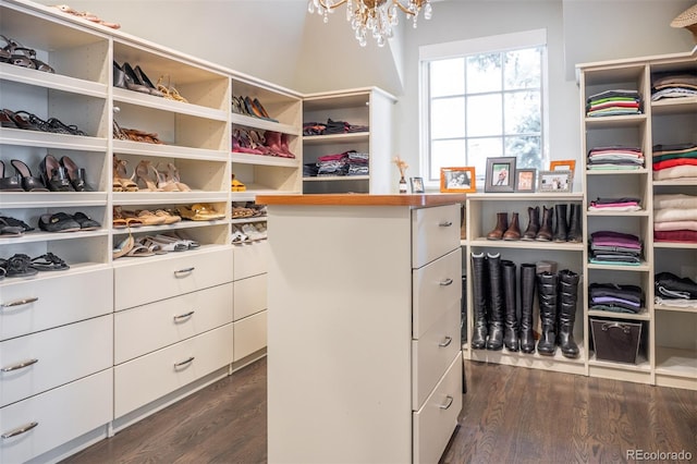 290 Dexter St, Denver, CO 80220 - spacious closet featuring dark wood finished floors and a chandelier
