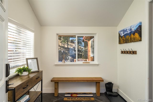 interior space featuring lofted ceiling and dark tile patterned flooring