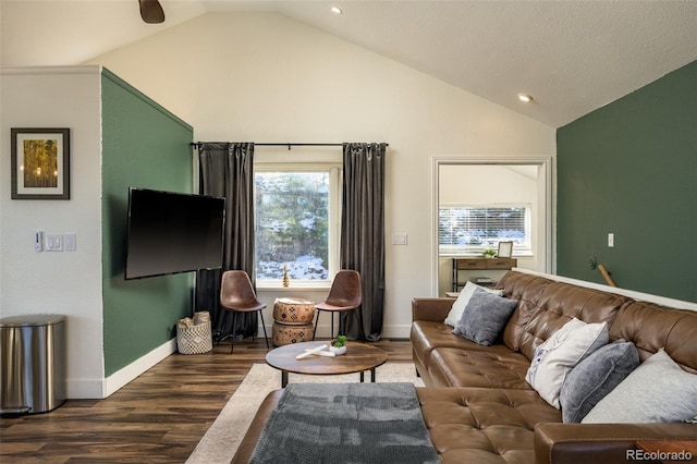 living room featuring lofted ceiling and dark hardwood / wood-style flooring