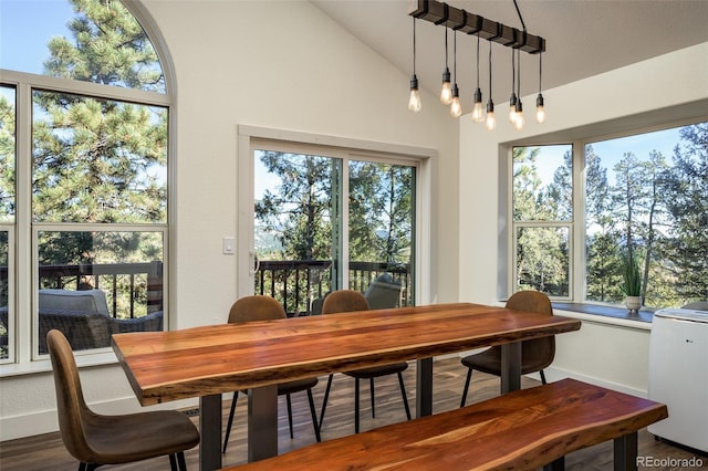 dining area featuring vaulted ceiling and wood-type flooring