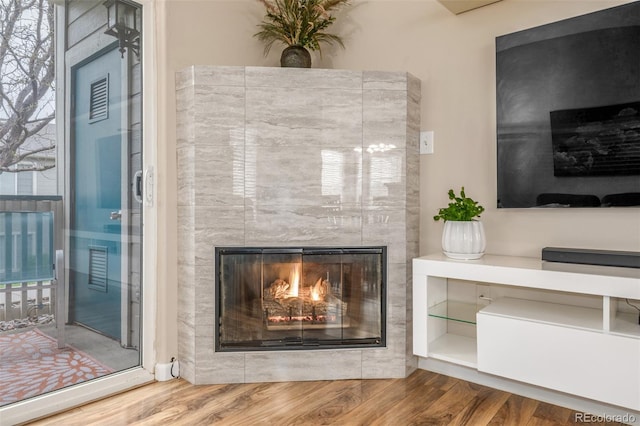 detailed view of wood finished floors and a fireplace