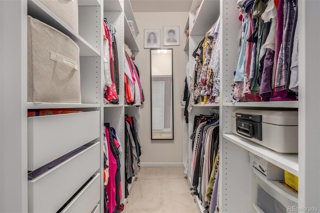 walk in closet featuring carpet flooring