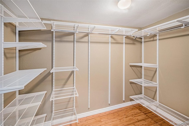 walk in closet featuring hardwood / wood-style flooring