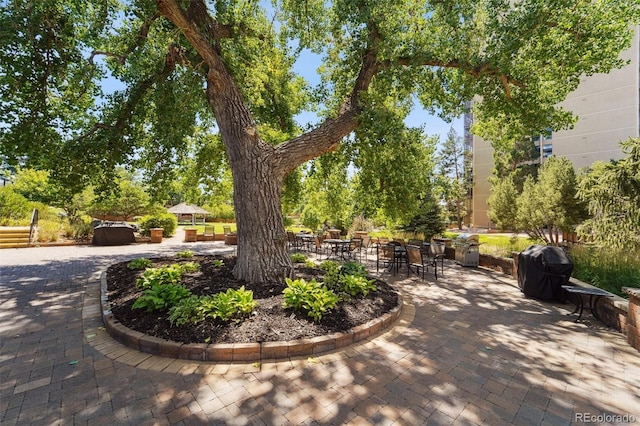view of property's community featuring a patio
