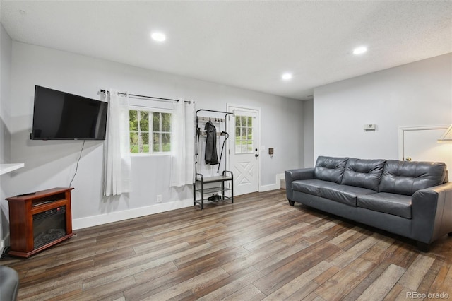 31551 Black Widow Dr, Conifer, CO 80433 - living room featuring hardwood / wood-style flooring and recessed lighting